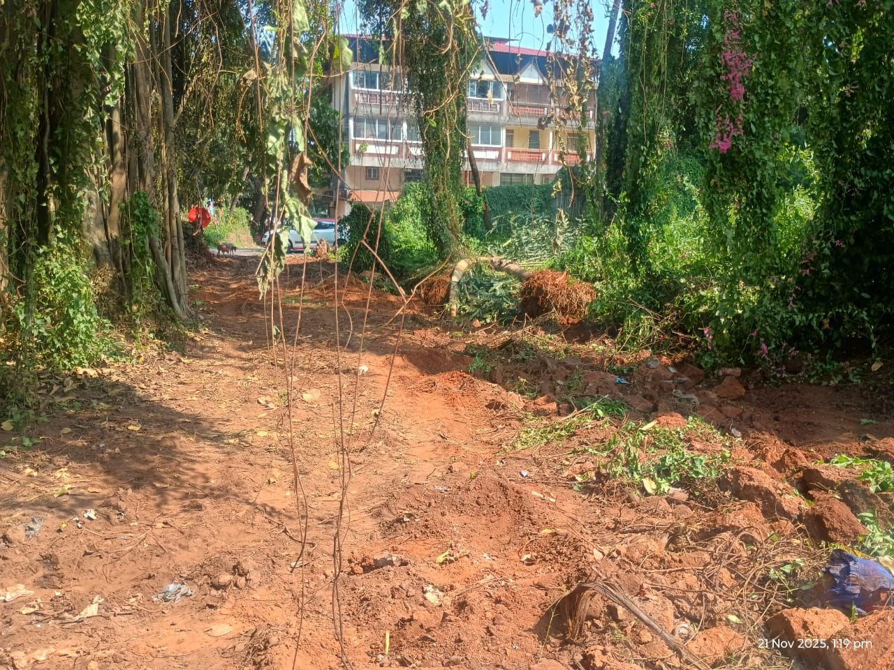 Earth cleared by machinery at Cansaulim